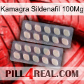 Kamagra Sildenafil 100Mg 07